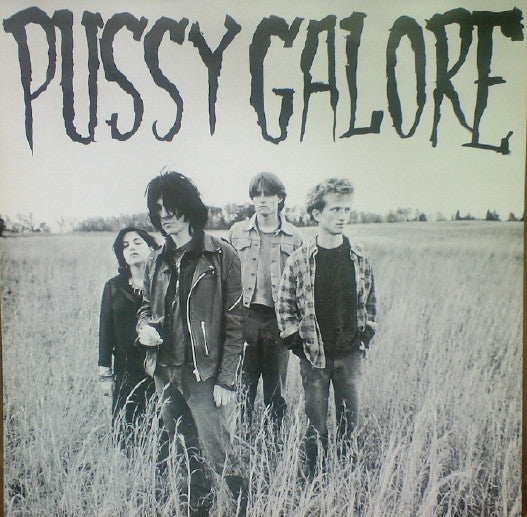 Pussy Galore (2) : Groovy Hate Fuck (Feel Good About Your Body) (LP, Comp)