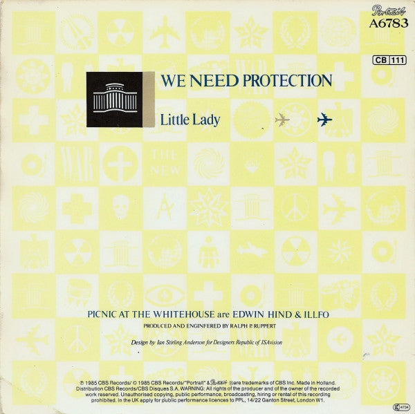 Picnic At The Whitehouse : We Need Protection (7", Single)