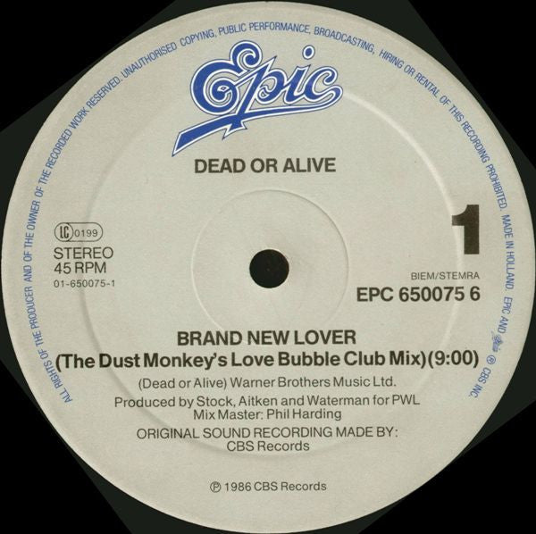 Dead Or Alive : Brand New Lover (12", Maxi)