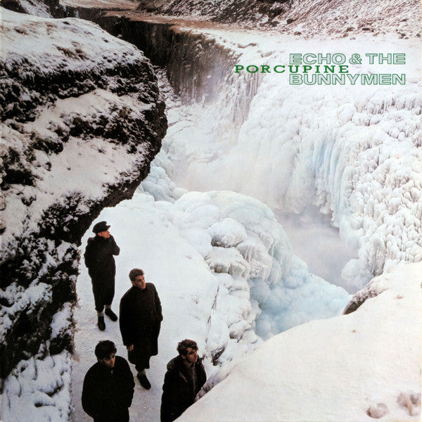 Echo & The Bunnymen : Porcupine (LP, Album)