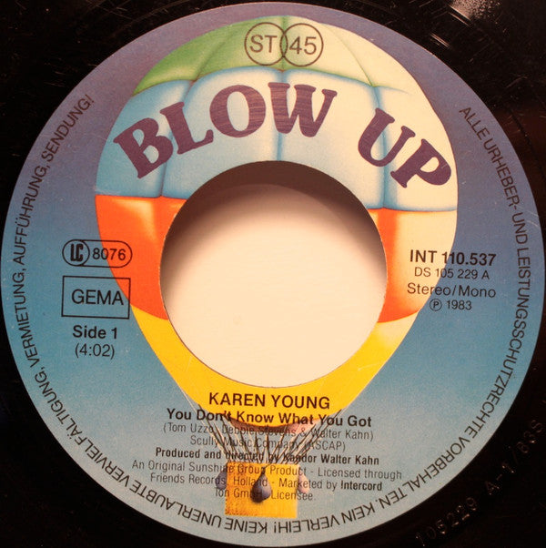 Karen Young : You Don't Know What You Got (7")