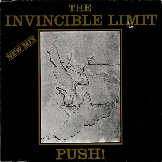 The Invincible Limit : Push! (New Mix) (12", Maxi, Lig)