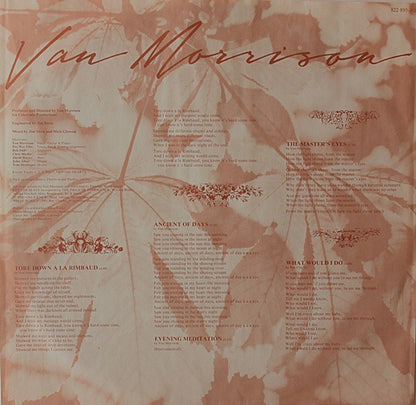 Van Morrison : A Sense Of Wonder (LP, Album)