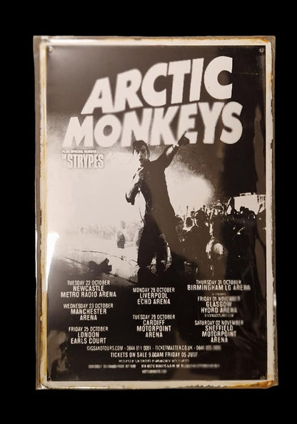 Arctic Monkeys - Concert