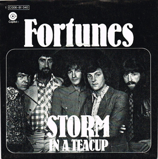 Fortunes* : Storm In A Teacup (7", Single)