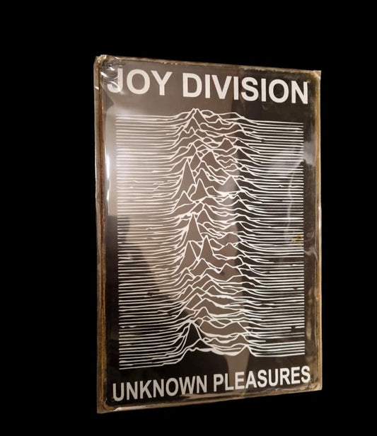 Joy Division - Concert