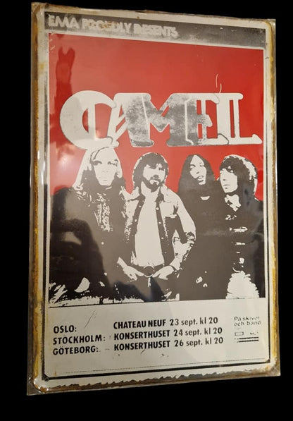 Camel - Concert