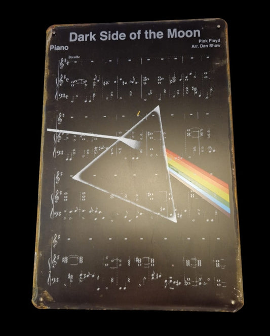 Pink Floyd Dark Side of the Moon Lyrics - Concert