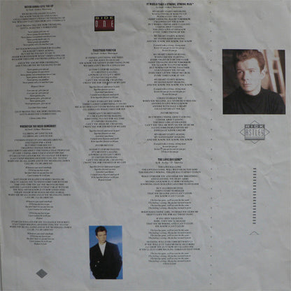 Rick Astley : Whenever You Need Somebody (LP, Album)