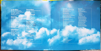 Peter Green (2) : In The Skies (LP, Album, Gat)