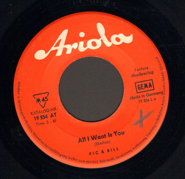 Pic And Bill : All I Want Is You  (7", Single)