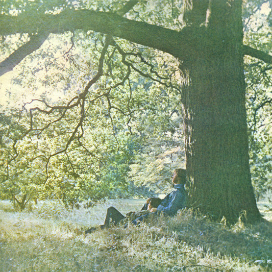 Yoko Ono : Yoko Ono / Plastic Ono Band (LP, Album)