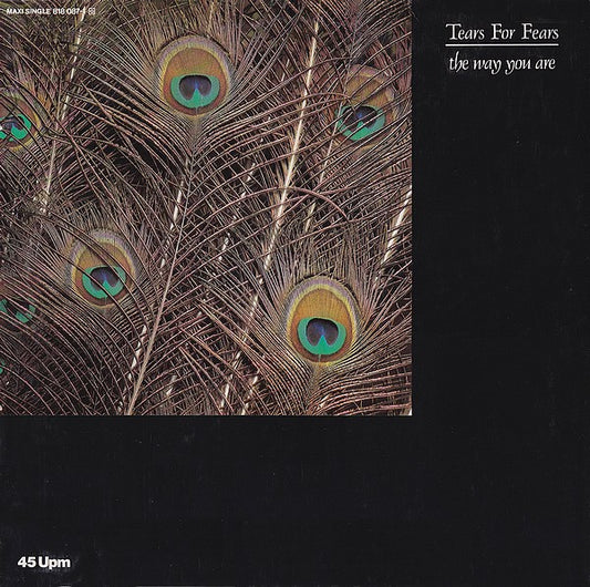 Tears For Fears : The Way You Are (12", Maxi)