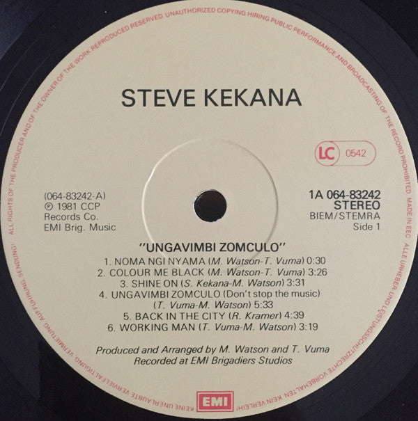 Steve Kekana : Raising My Family (LP, Album)