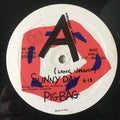 Pigbag : Sunny Day (12