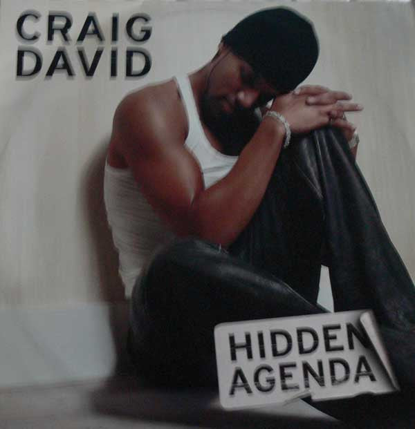 Craig David : Hidden Agenda (12")