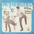 The Tremeloes : As You Are / Suddenly You Love Me (7