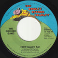 The Kiki Dee Band : How Glad I Am (7