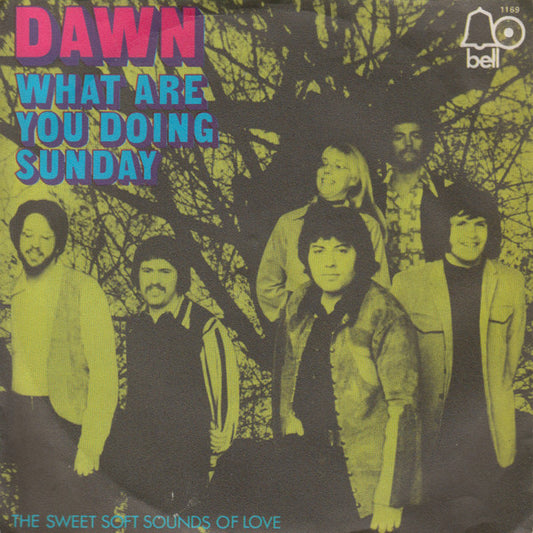 Dawn (5) : What Are You Doing Sunday (7", Single)