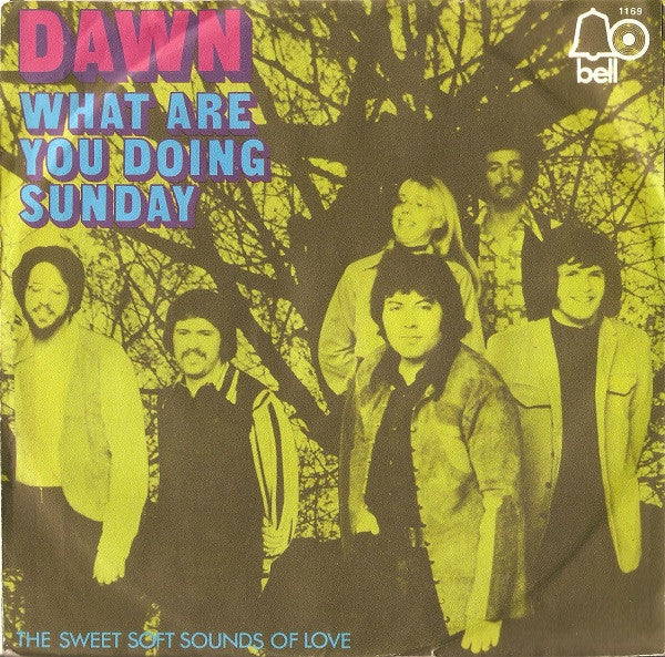 Dawn (5) : What Are You Doing Sunday (7", Single)