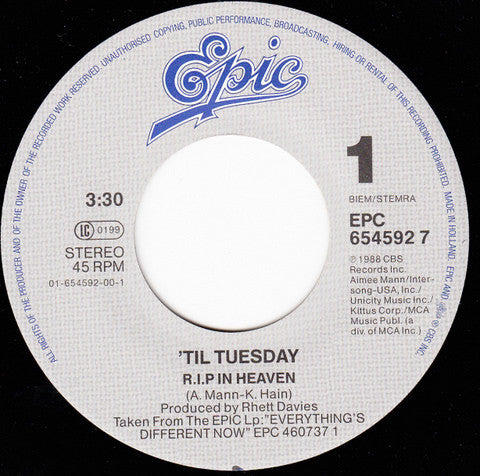 'Til Tuesday : R.I.P. In Heaven (7", Single)