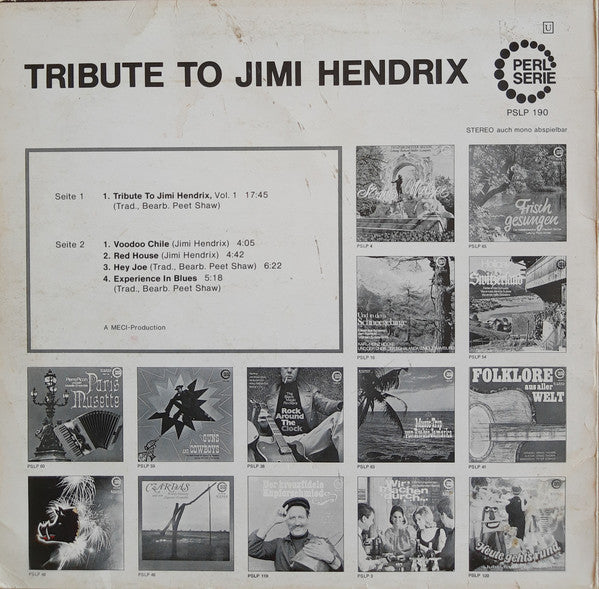 The Live Experience Band : Tribute To Jimi Hendrix (LP, Album)