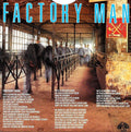 Maarten Peters & The Dream : Factory Man (7