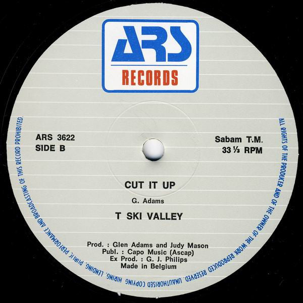 T-Ski Valley : It's Just A Groove (12")