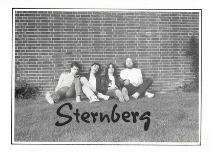 Sternberg : Mystical Voyage (LP)