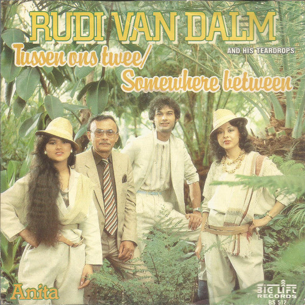 Rudi van Dalm And His Raindrops : Tussen Ons Twee / Somewhere Between (7", Single)