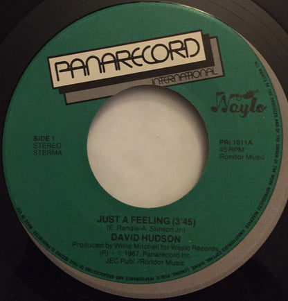 David Hudson (2) : Just A Feeling / Let's Get Back Together (7", Single)