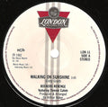 Rockers Revenge Featuring Donnie Calvin : Walking On Sunshine (7