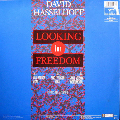 David Hasselhoff : Looking For Freedom (12", Maxi)